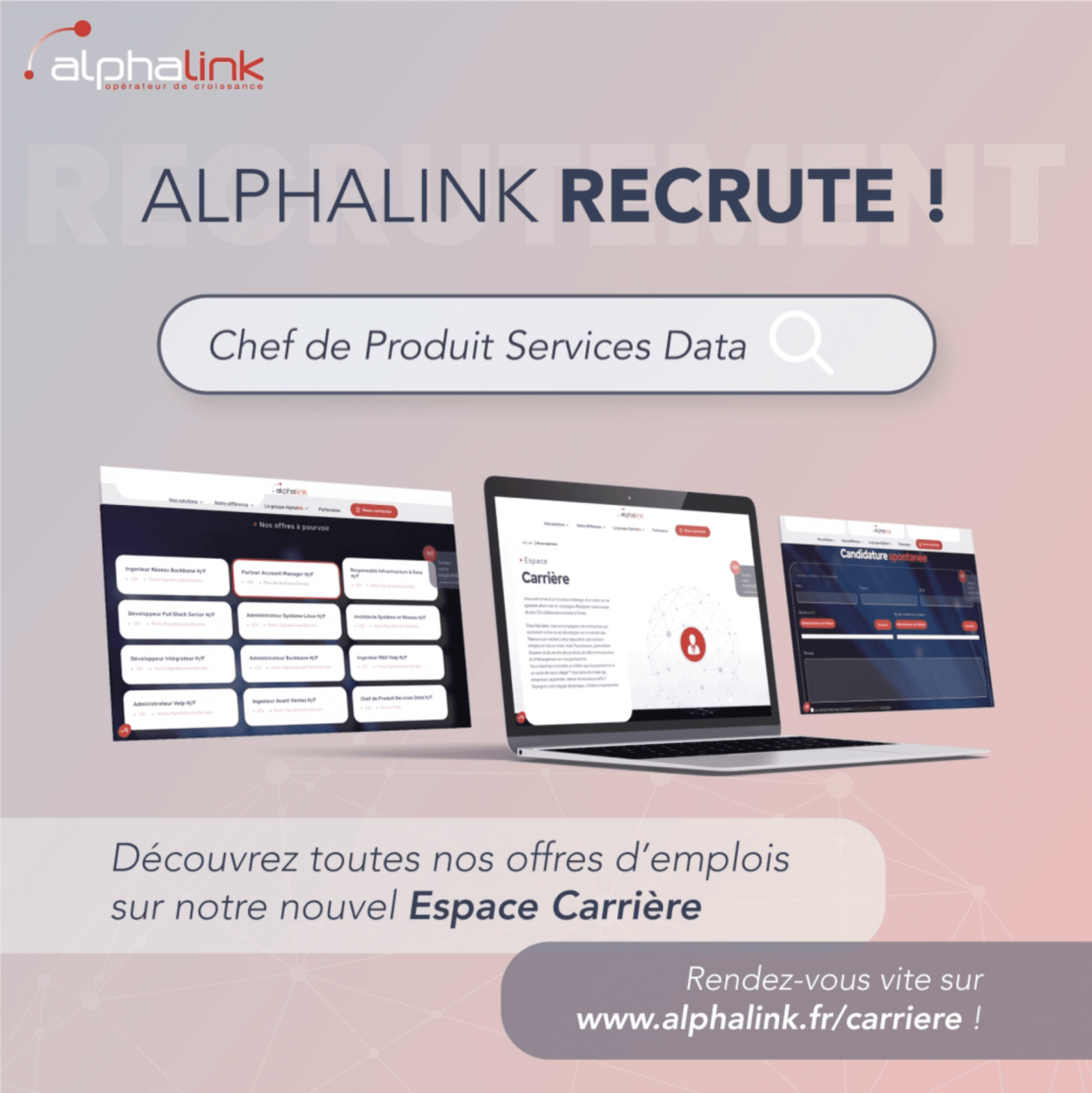 alphalink, page carrière